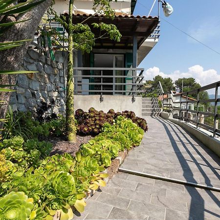 Strada Degli Olandesi - Panoramic Villa By Halldis Camporosso  Dış mekan fotoğraf