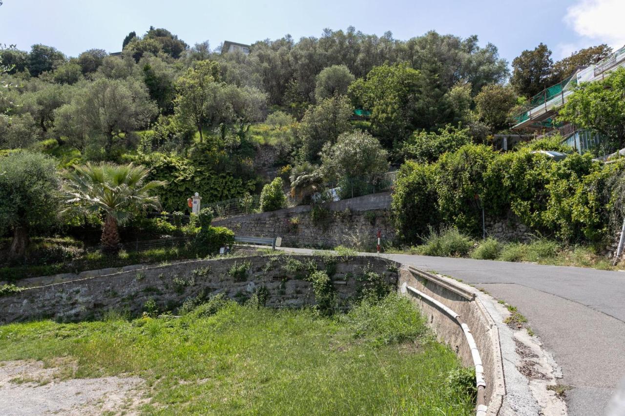 Strada Degli Olandesi - Panoramic Villa By Halldis Camporosso  Dış mekan fotoğraf